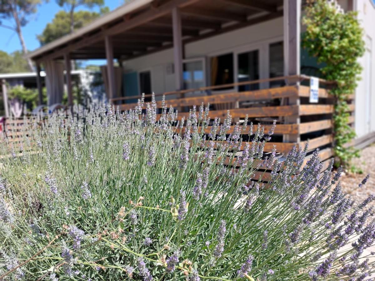 Holiday Homes Lavanda - Biograd Na Moru Extérieur photo